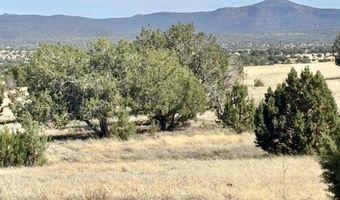 W Rawhide Ranch Road lot 46, Ash Fork, AZ 86320