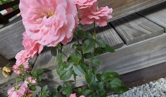 98 Merchant St, Barre, VT 05641