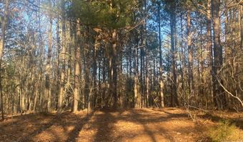 TBD CR 4507, De Kalb, TX 75559