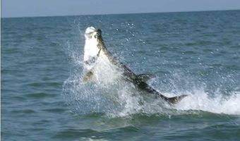 160 Ave C, Apalachicola, FL 32320