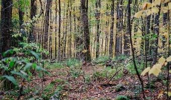Tynecastle Drive lot 35, Banner Elk, NC 28604