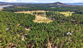 11 County Road 2135, Alpine, AZ 85920