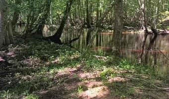 247 Horseshoe Trl, Barnwell, SC 29812