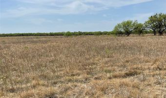 Hwy 6, Albany, TX 76424