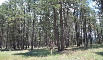 Lot 1 Block 2 Columbine Terrace, Angel Fire, NM 87710