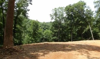 8 63ac Gravely Hill Rd, Bethpage, TN 37022