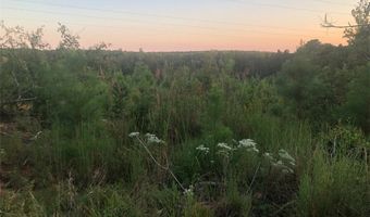 LAKE SECESSION Road, Abbeville, SC 29620