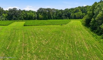 2363 Fugates Rd, Bentonia, MS 39040