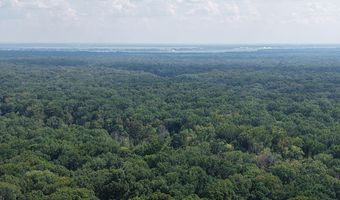 Dawling Bayou Road, Anguilla, MS 38721