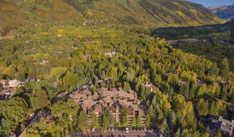 610 S West End St D203, Aspen, CO 81611