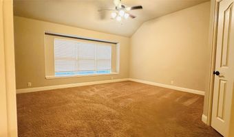 217 Bonsai Dr, Anna, TX 75409