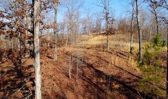 River Oaks Lot 19, Big Sandy, TN 38221