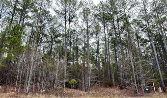 Lot C112 DOCK SIDE Lane, Lincolnton, GA 30817