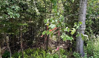 Newark Street, Burke, VT 05871