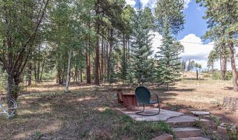 221 Vallecito Dr, Bayfield, CO 81122