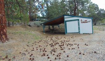 10733 Rattlesnake Ln, Unity, OR 97884