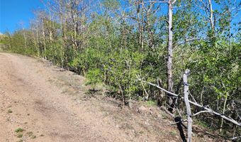 NHN Alpha Lode & Alpha Fraction Lode Alpha Trail, Anaconda, MT 59711