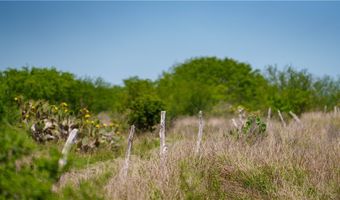 Fm-735, Alice, TX 78332