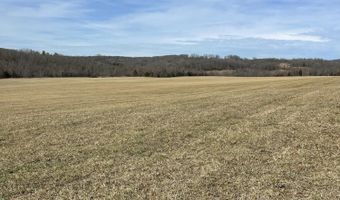 Tract 1 County Road 14-534, Ava, MO 65608