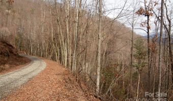 Green Ridge Falls Road, Barnardsville, NC 28709