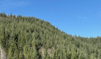 Logsden Rd, Blodgett, OR 97326