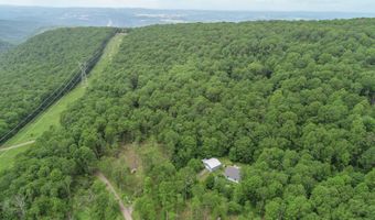 590 BEARFOOT, Accident, MD 21520