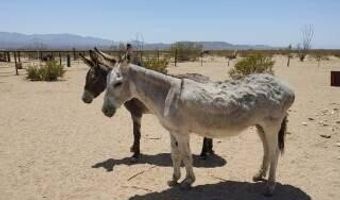 3501 S Wild Bill Rd, Yucca, AZ 86438