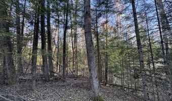 V/L Wildwood Road lot 1, Alger, MI 48610