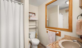 112 E Hillside Dr, Basalt, CO 81621