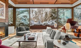 233 E Cooper Ave 301, Aspen, CO 81611