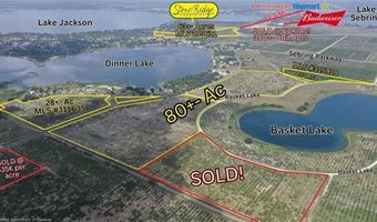 1115 Basket Lake Rd, Avon Park, FL 33825