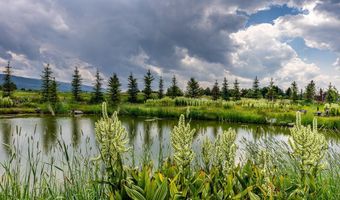 1905 N BEAVER Dr, Alta, WY 83414