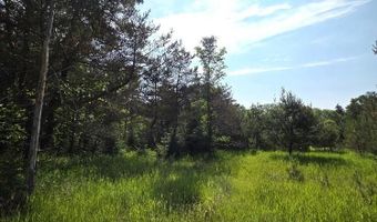 Martin Road, Alpena, MI 49707