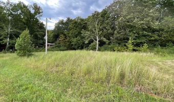 BAY SHORE DR, Big Sandy, TN 38221