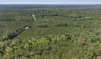 82 Acres Point Caswell Rd, Atkinson, NC 28421