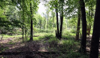 25270 B Dr S, Albion, MI 49224