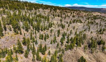 270 Co Rd 667 Lot 0, Alma, CO 80440