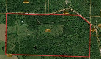 6312 County Road W76-436, Ava, MO 65608