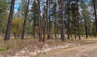 Nhn Harlow Road, Thompson Falls, MT 59873