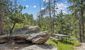 84 County Road 113 N, Allenspark, CO 80510