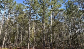 E Church Street, Bonneau, SC 29431