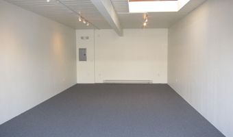 525 E Cooper Ave 205, Aspen, CO 81611