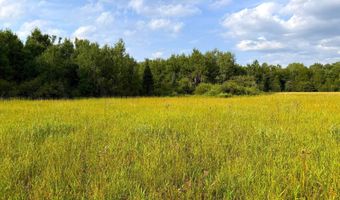 County Road Y, Aniwa, WI 54408