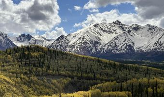 B005 Packsaddle Road, Chickaloon, AK 99674