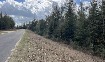 Vancouver Drive, Alford, FL 32420