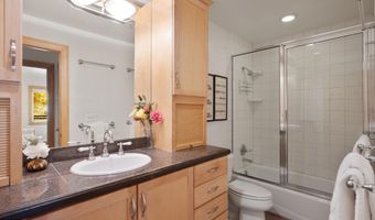 326 Midland Ave 306, Aspen, CO 81611