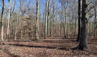 0009 SPRINGHOLLOW Rd Lot 9, Ashville, AL 35953