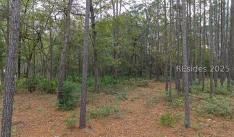25 Lupine Rd, Bluffton, SC 29910