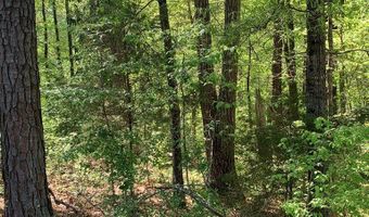 MORNINGSIDE DR, Abbeville, SC 29620