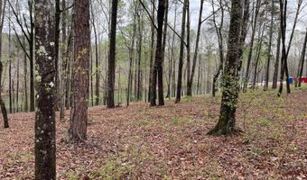 LOT 3 SHORESIDE AT SIPSEY, Double Springs, AL 35553